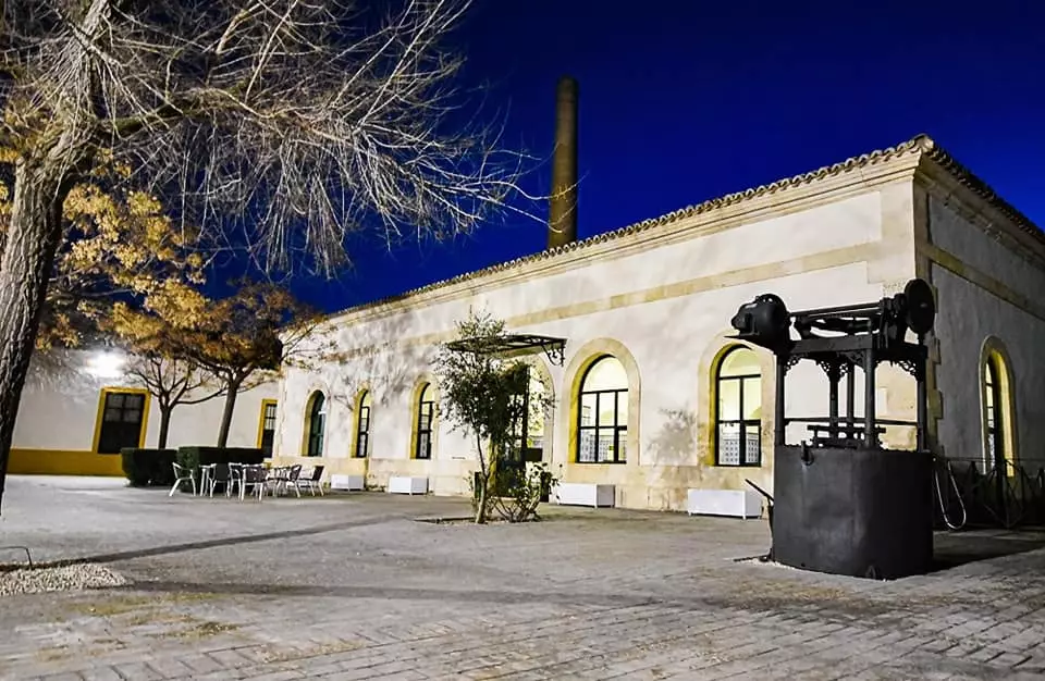 Museu de la cultura de l'olivera i l'oli