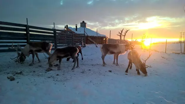 Røros a potosí ënner dem Schnéi an Norwegen