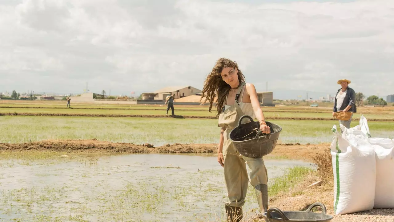 L'Albufera iš naujo atradimas iš „Prieplaukos“