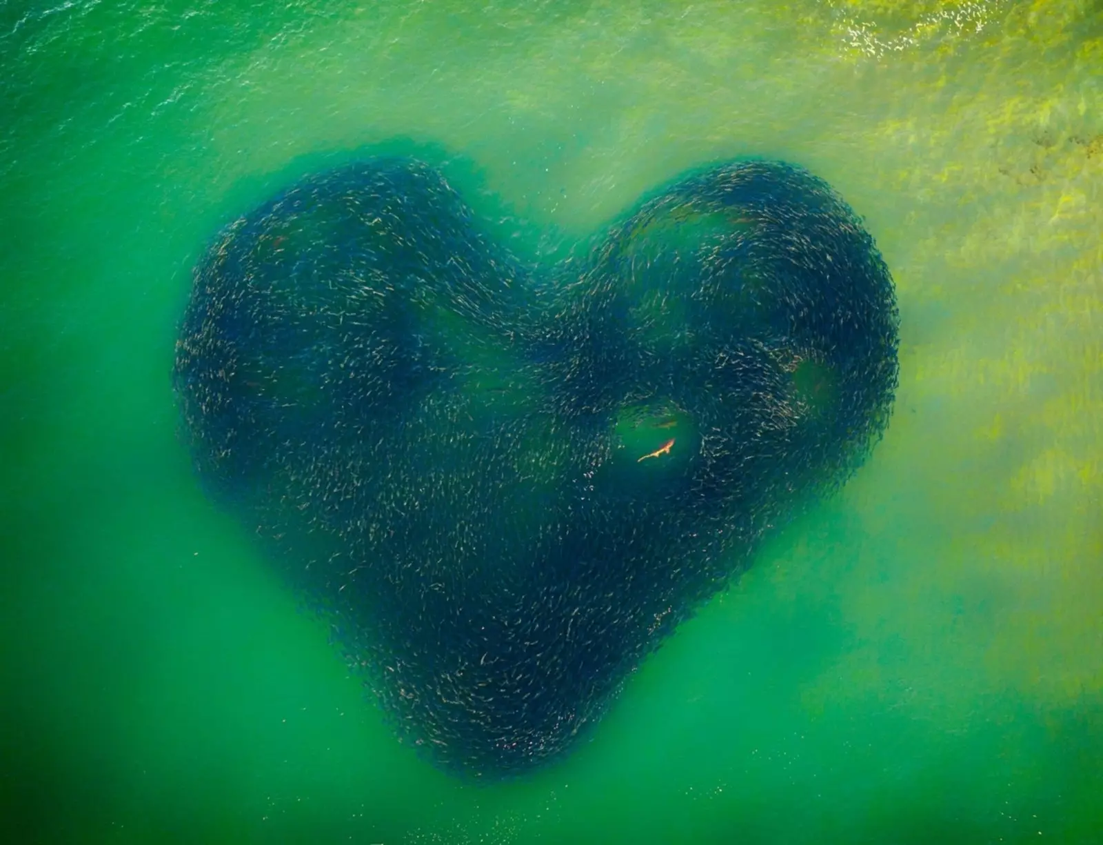 'Love Heart of Nature' Jim Picot