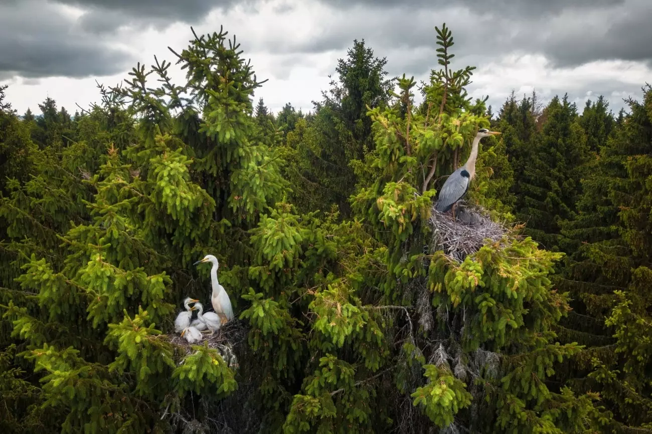 Questi i vincitori del concorso fotografico Drone Awards 2020 13887_8