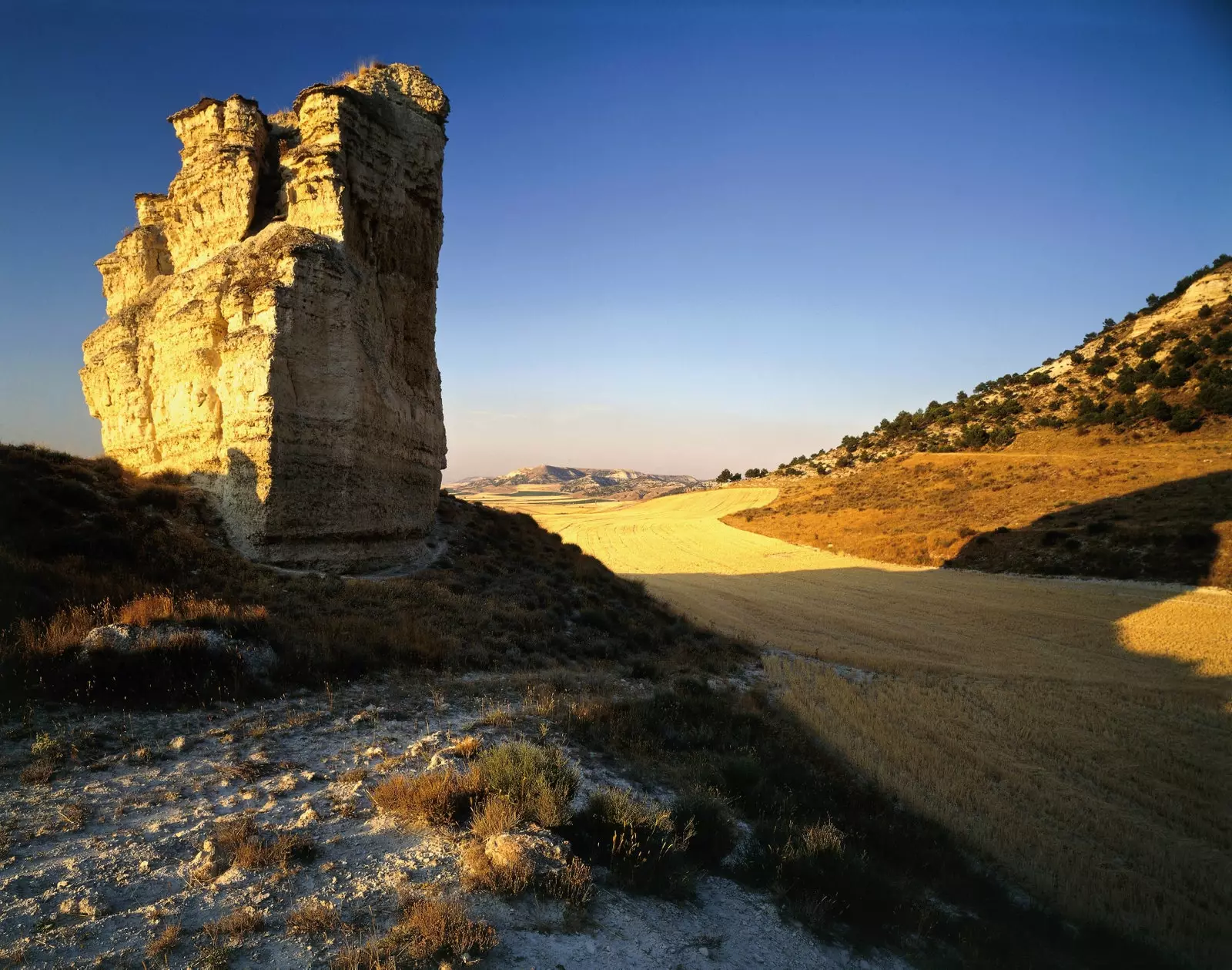 Vallée du Cerrato à Palencia