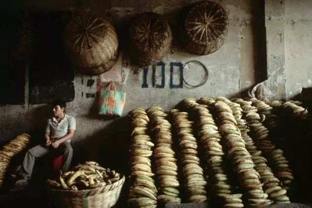 kişi banan