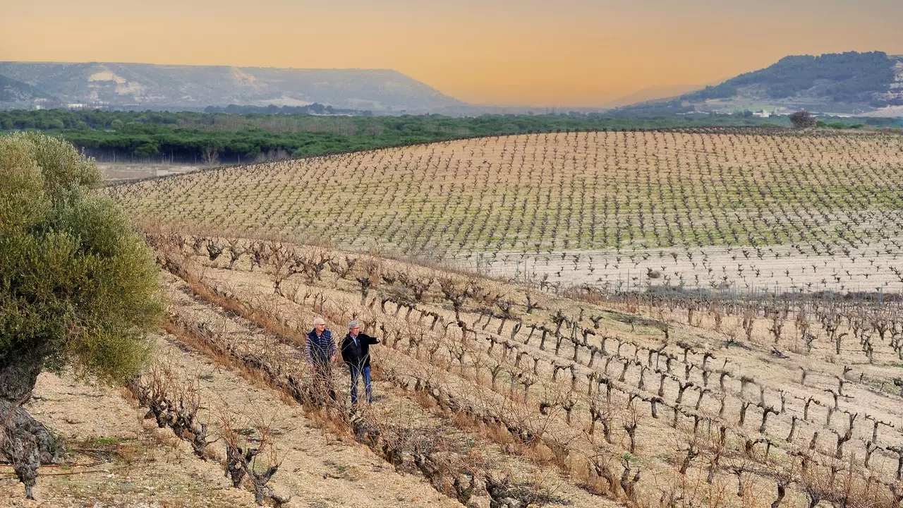 Kutoka Aranda de Duero hadi Miranda do Douro: Saa 72 za hali ya juu sana