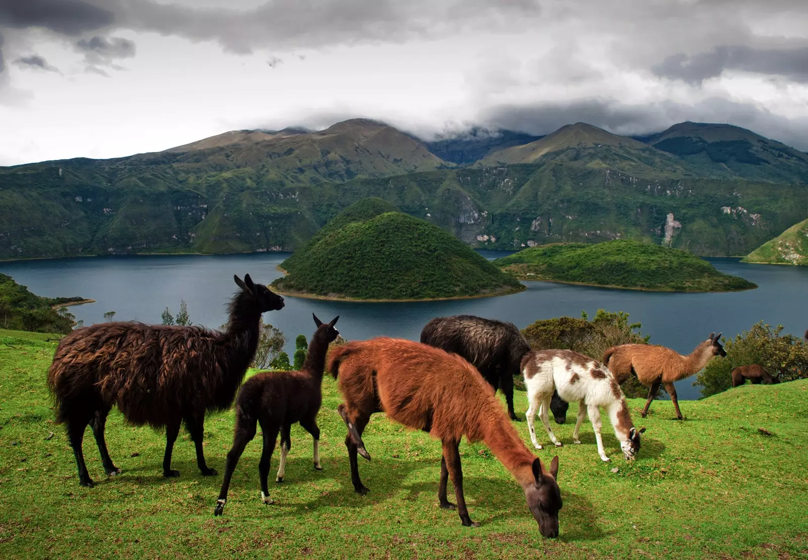 Ecuadorin luonnon viehätys Galapagossaarten ulkopuolella