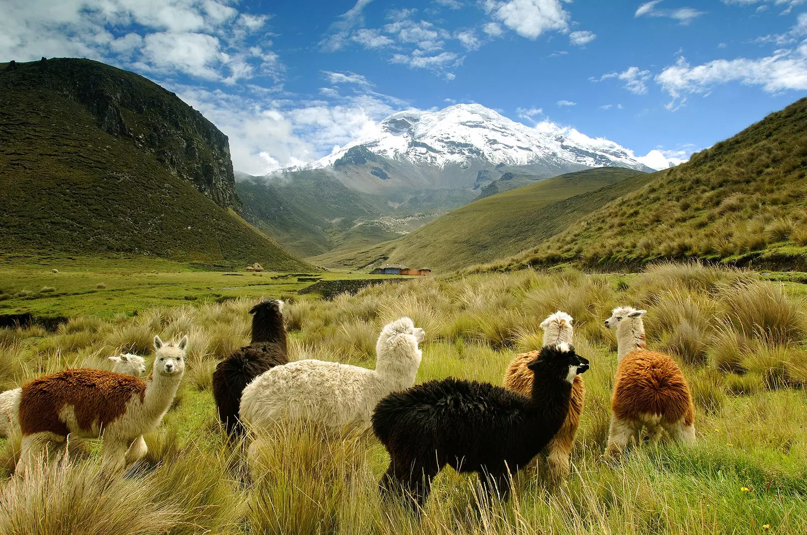 De natuurlijke charmes van Ecuador buiten de Galapagos-eilanden