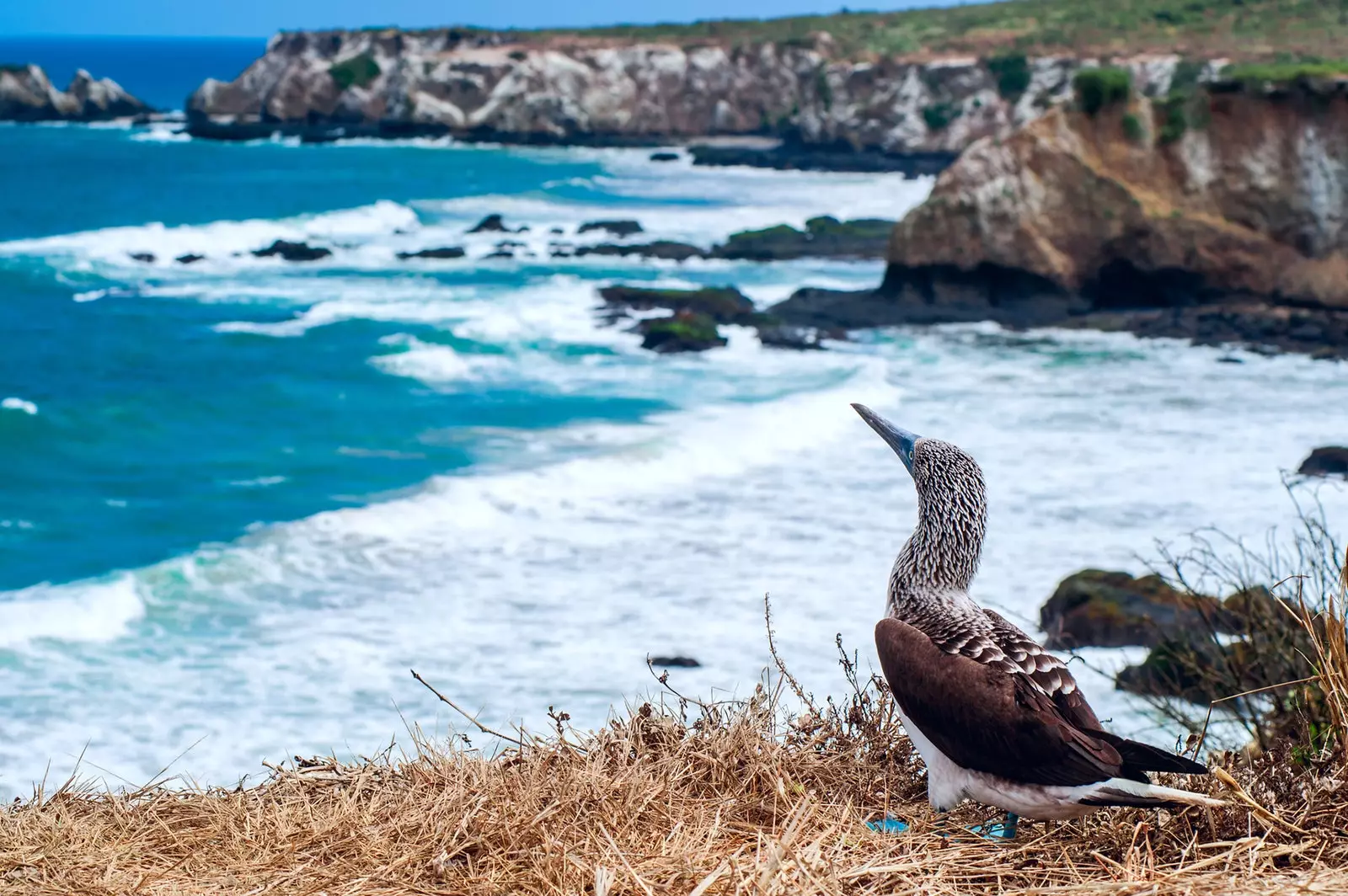 Ecuador természetes varázsa a Galápagos-szigeteken túl