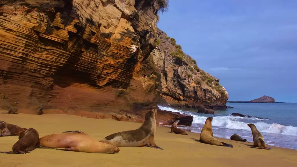 Finch Bay Galapágy