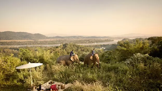 Lessen geleerd op de rug van een olifant