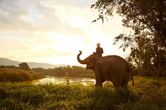 Naik gajah melalui hutan di utara Thailand