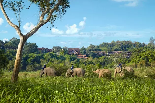 Pachyderma entourage ved Anantara-hotellet