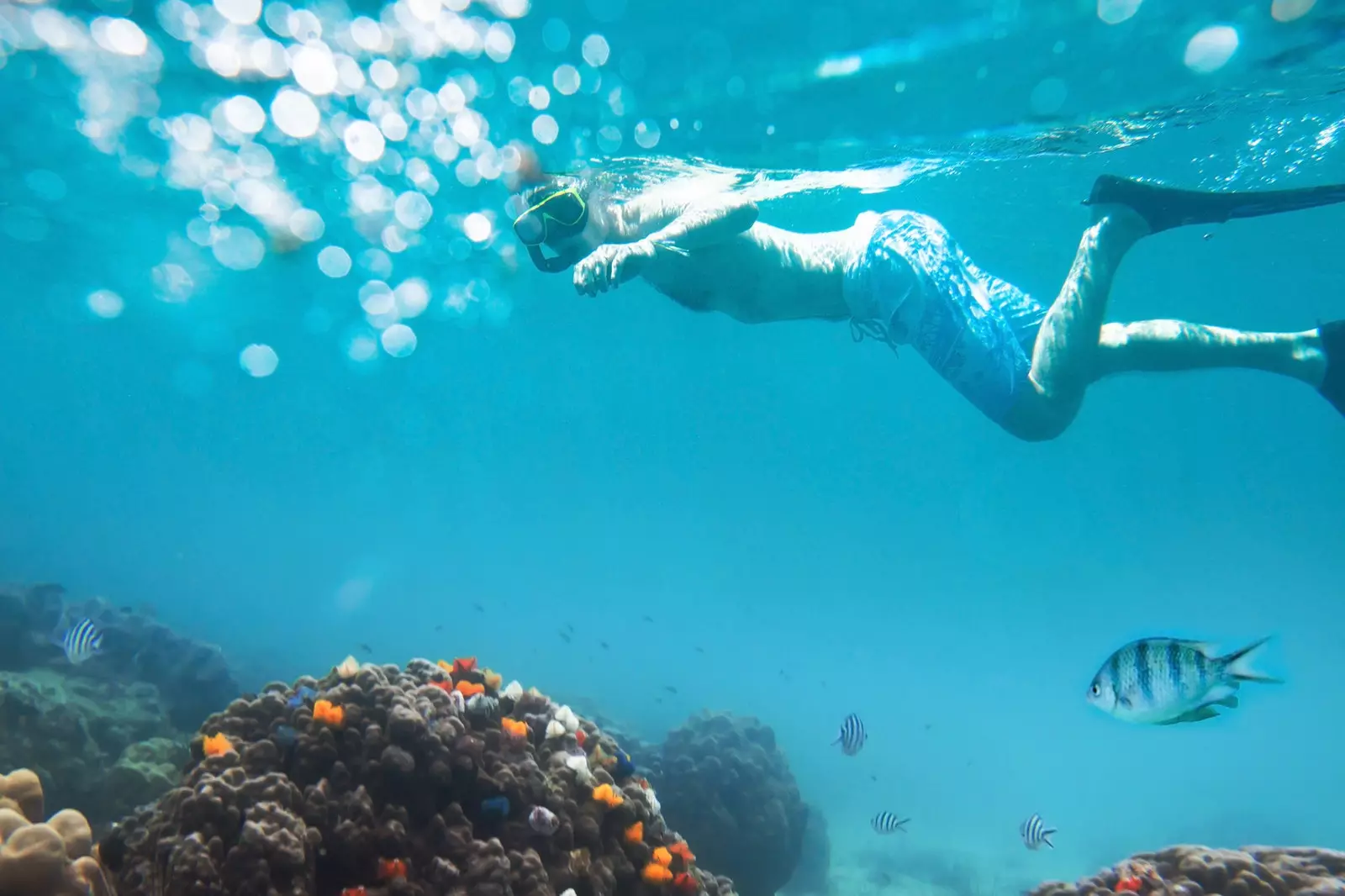 Snorkeling in the waters of Koh Chang