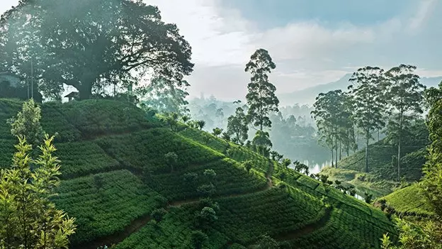 Sri Lanka: tagasi tulevikku