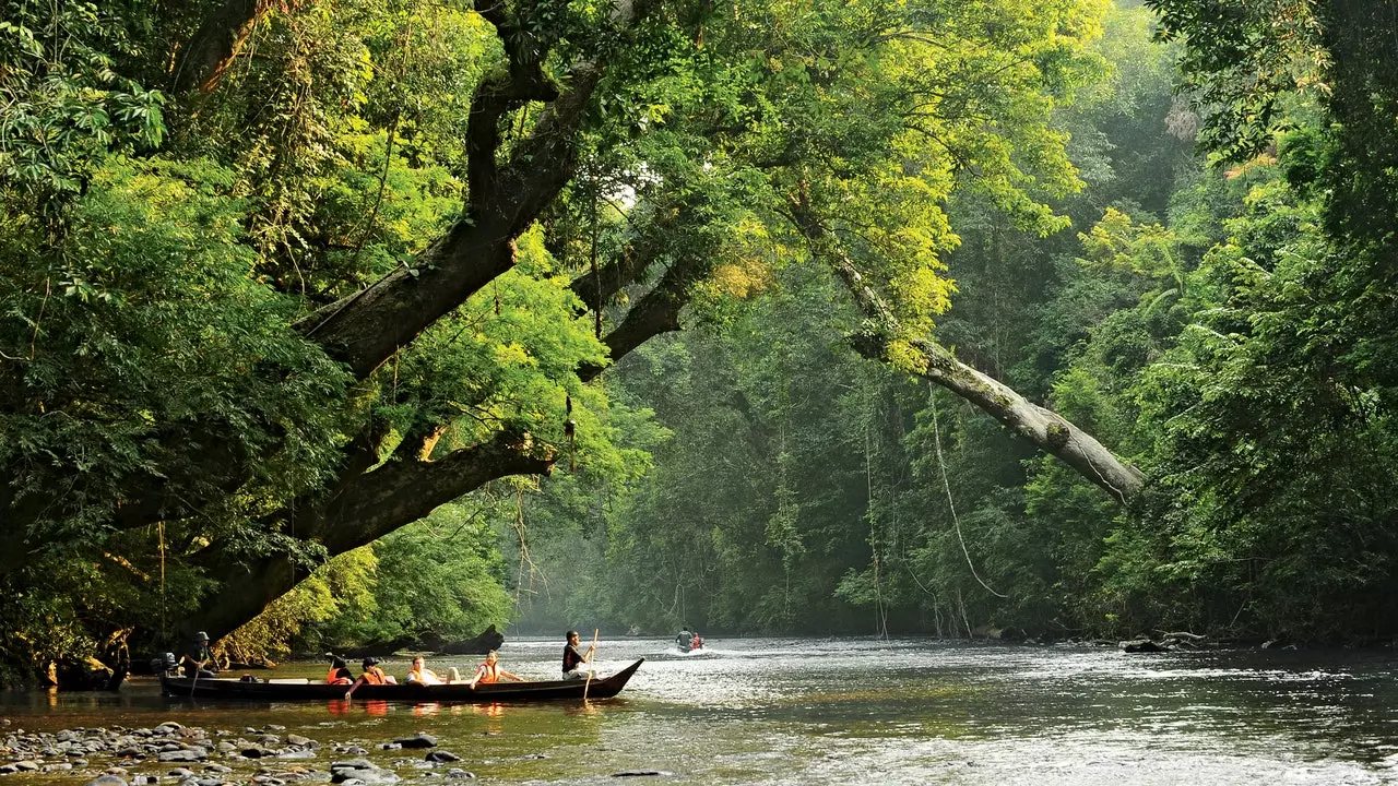 Hyjmë në Taman Negara, xhungla më e vjetër në botë