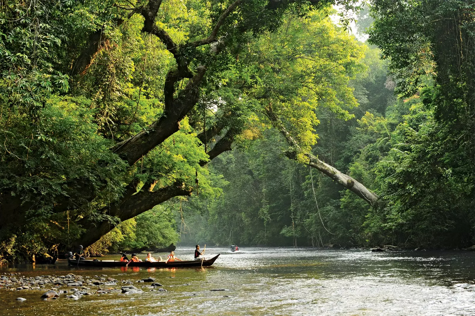 Taman Negaradakı Lata Berkoh çayı