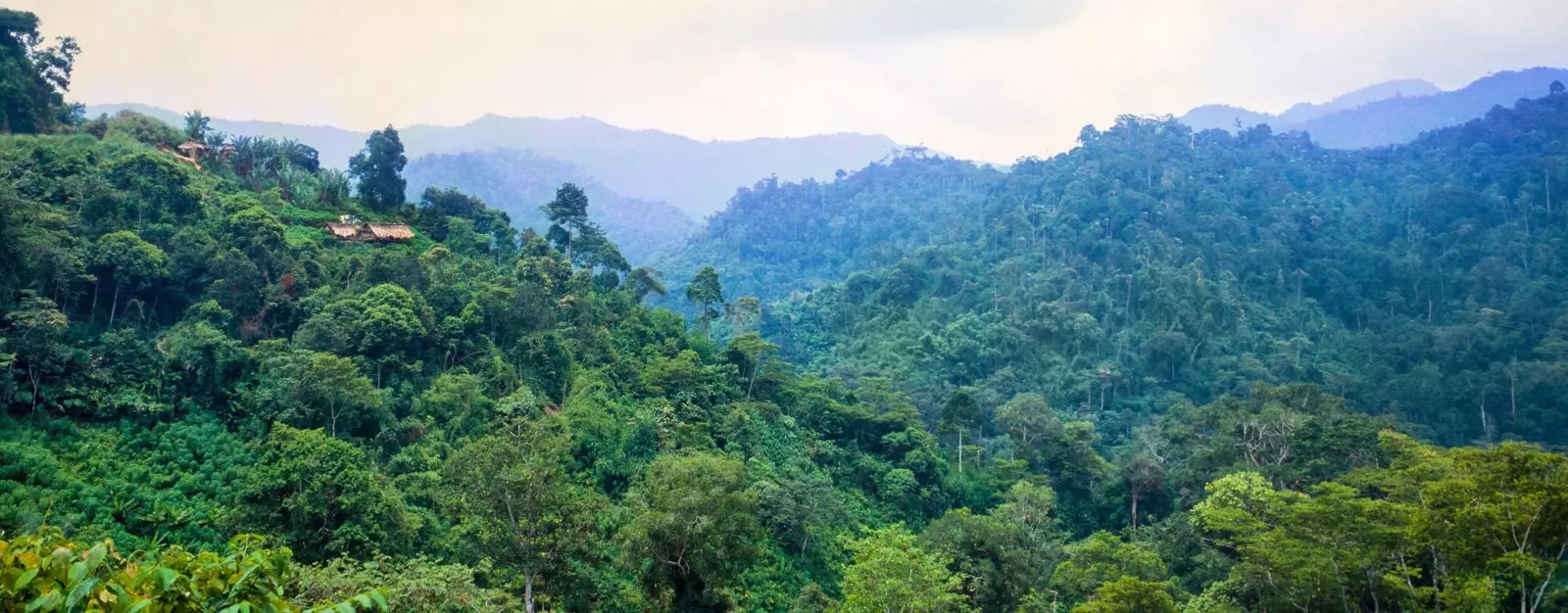 Orang Asli kaimas