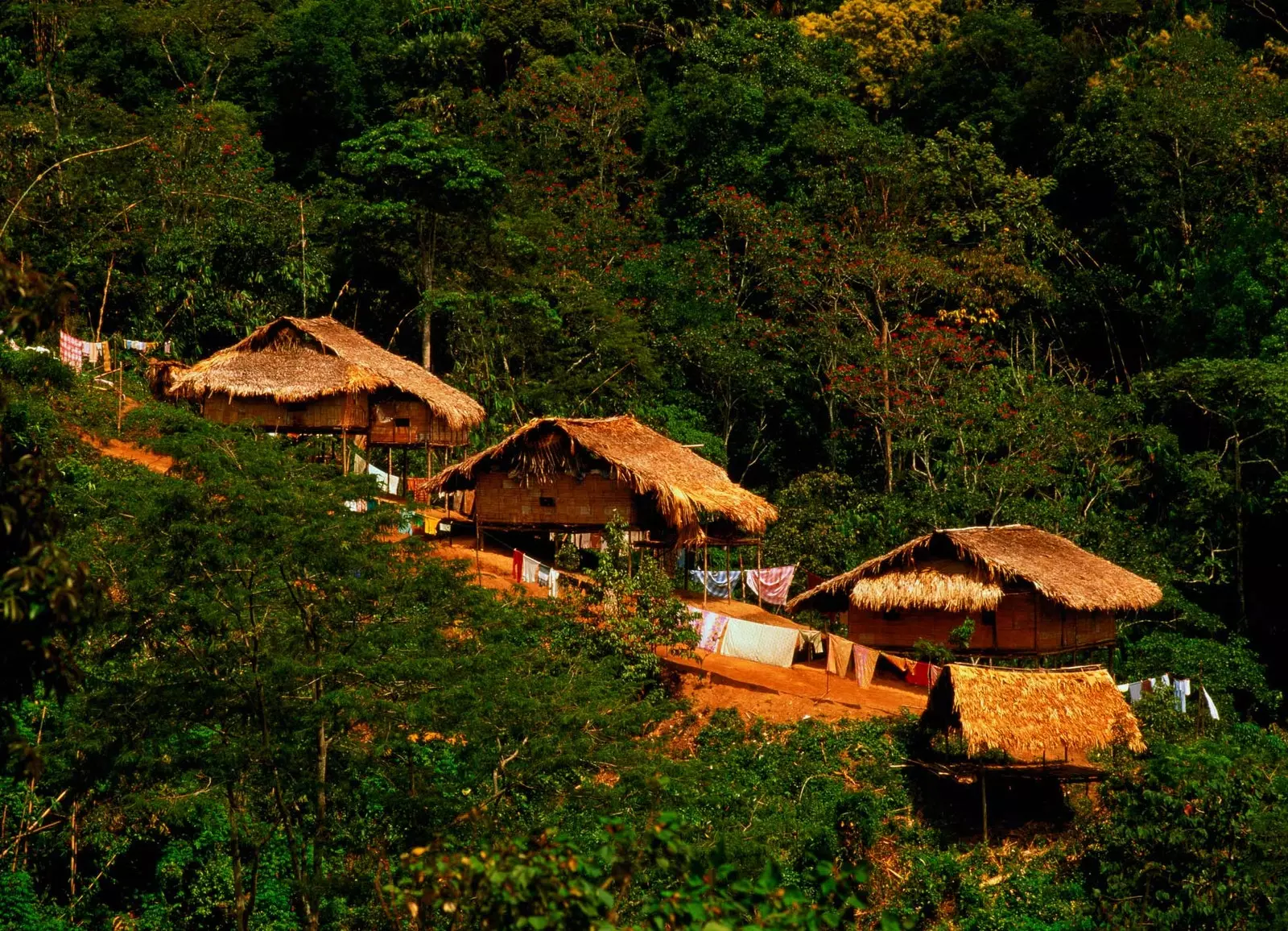 Cameron Highlands