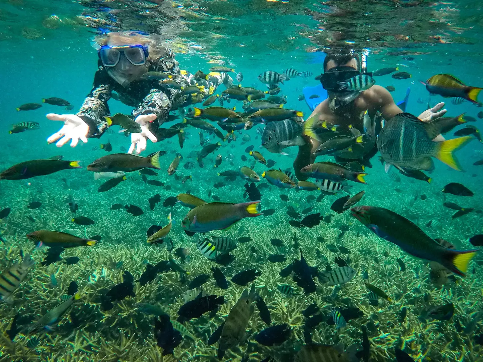 帰りたくないマレーシアの島々ペルヘンティアン