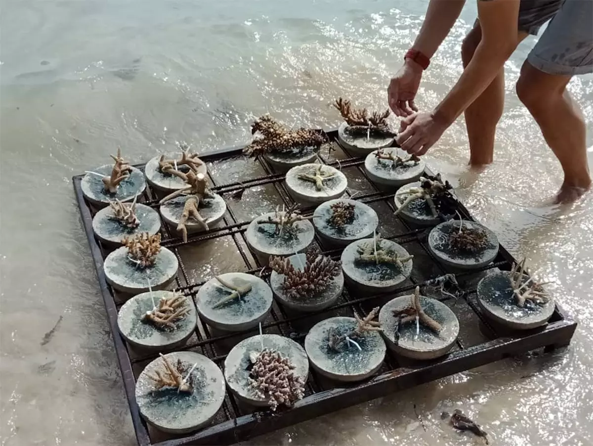 Perhentian pulau-pulau Malaysia yang anda tidak mahu pulang