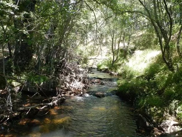 De Madarquillos-rivier doorkruist het natuurlijke recreatiegebied van La Tejera.