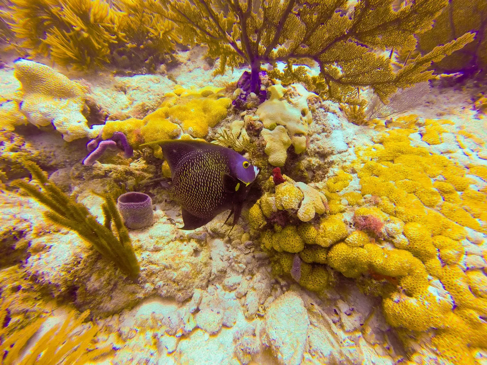 Pêcheur à la ligne de Kimpton