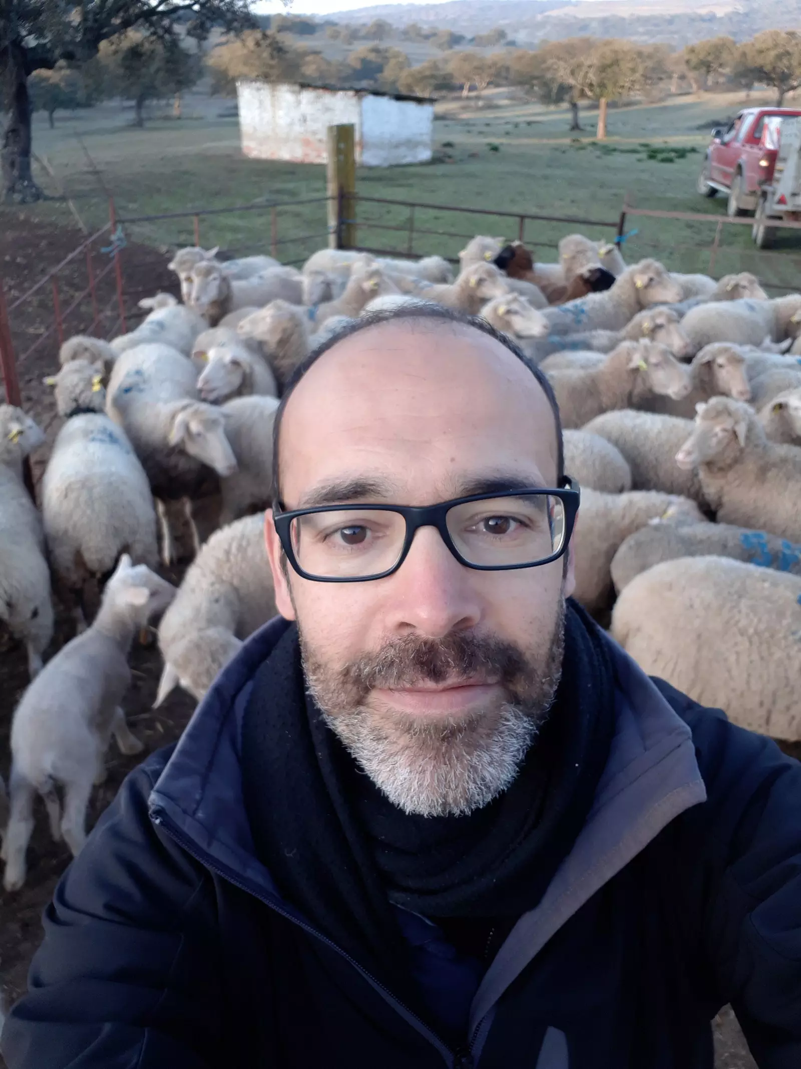 Gabi Martinez selfie com um rebanho de ovelhas