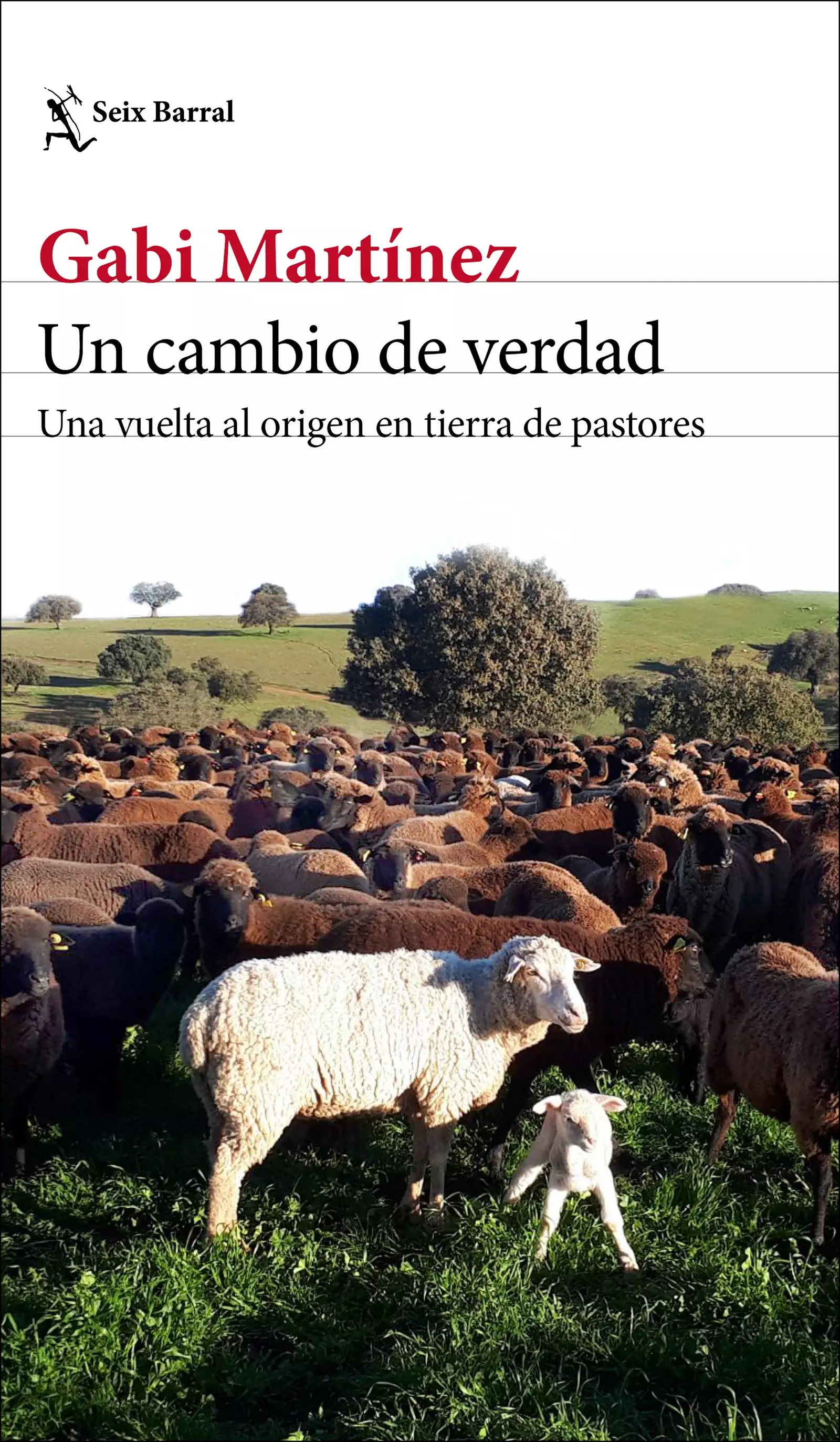 Copertina del libro Un cambio di verità di Gabi Martínez