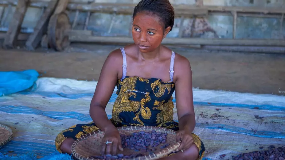 Une once de chocolat qui révèle le cacao unique qui pousse sur l'île de Madagascar