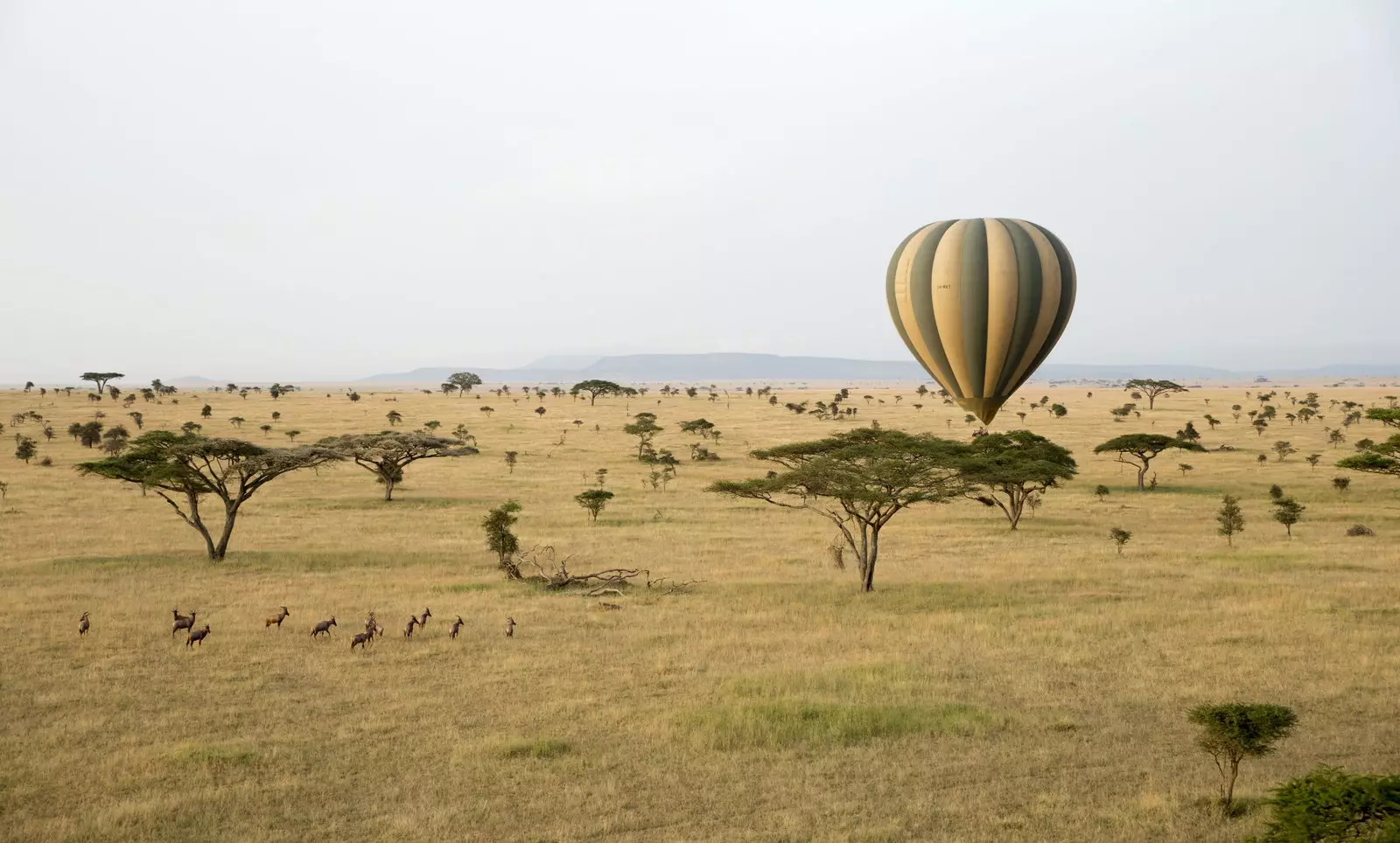 Сафари с балон едно от преживяванията на Meli Serengeti Lodge.