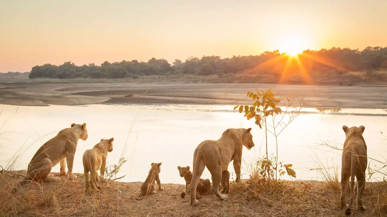 Luangua del Sur, safari yang tenang