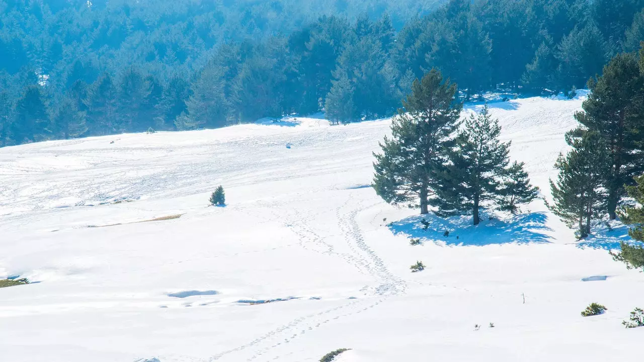 A day of snow in Cotos: on a sled one step away from Madrid