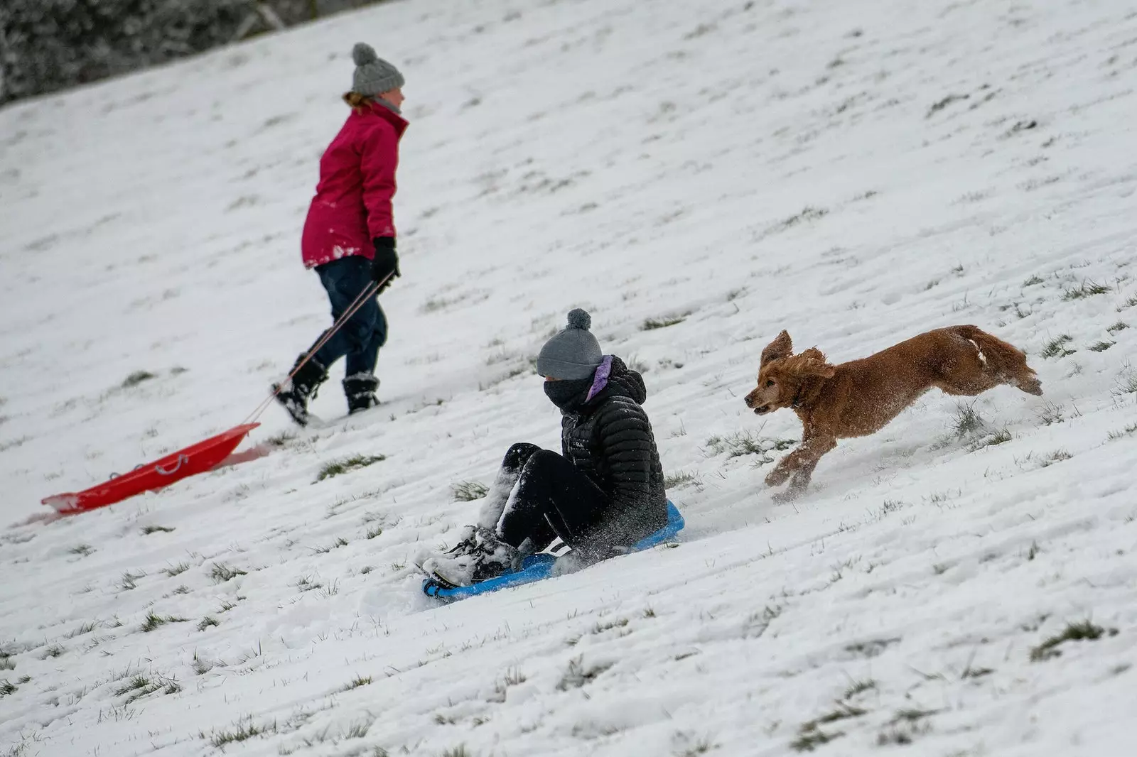 Sled ambayo haikosekani