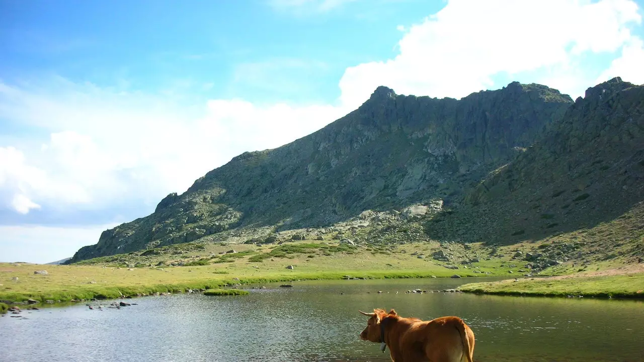 Excursão à Laguna Grande de Peñalara