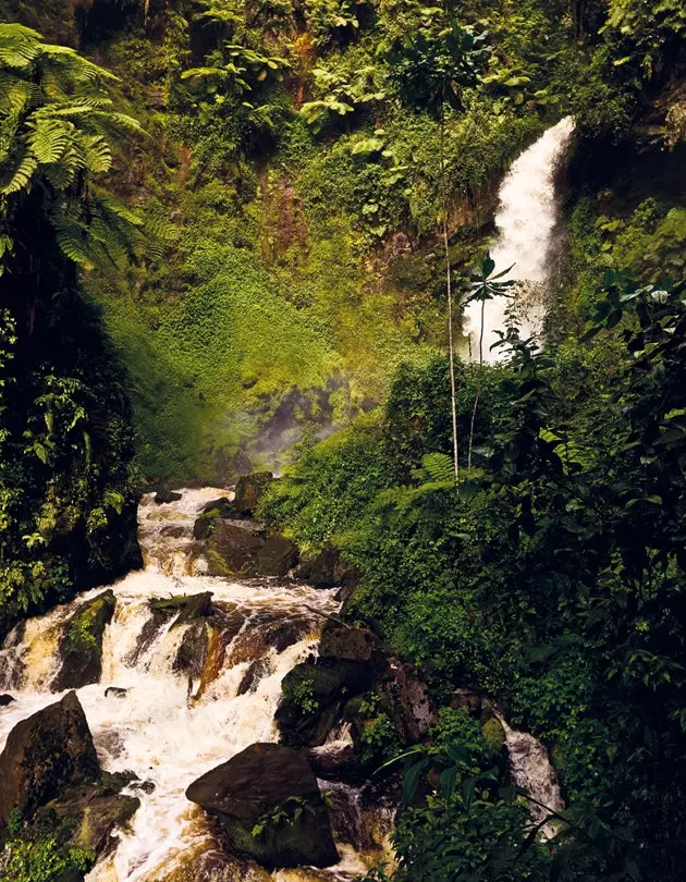 Waterval in het Nyungwe-regenwoud