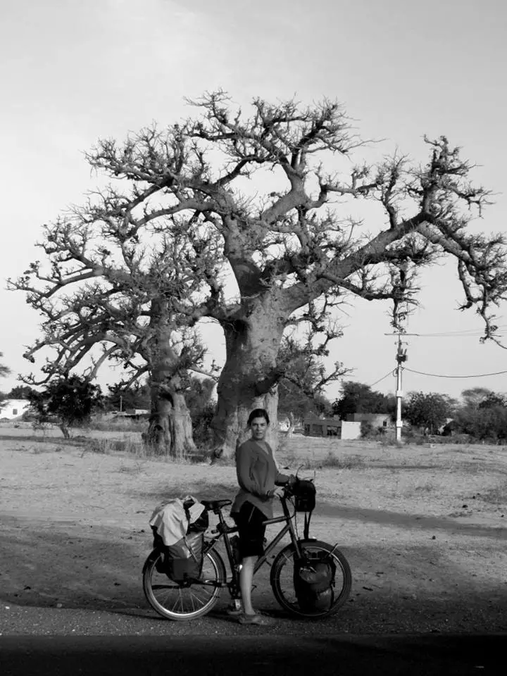 De Baobab Jus den Dag zu Dag vun der Diät vun der Cinecicleta