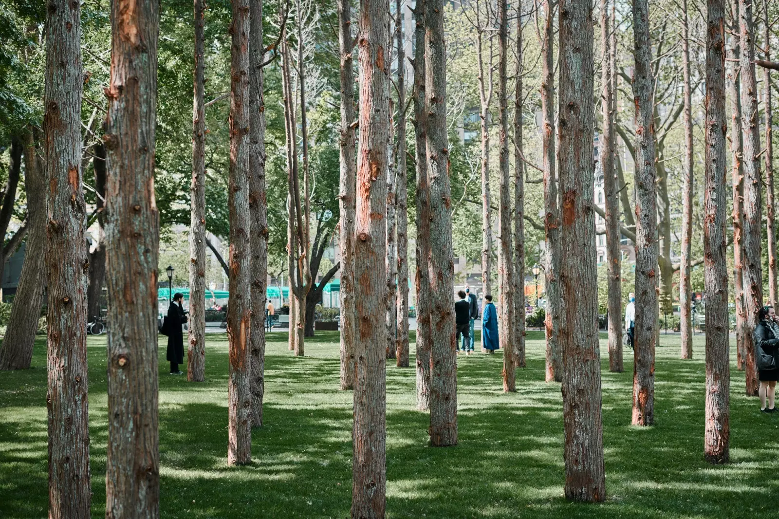 Parc de Madison Square