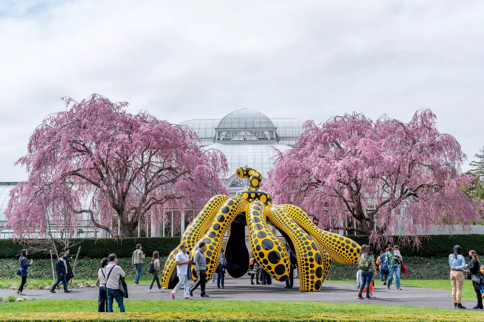 न्यूयॉर्क Yayoi Kusama . के रंगों और पोल्का डॉट्स से भरा है