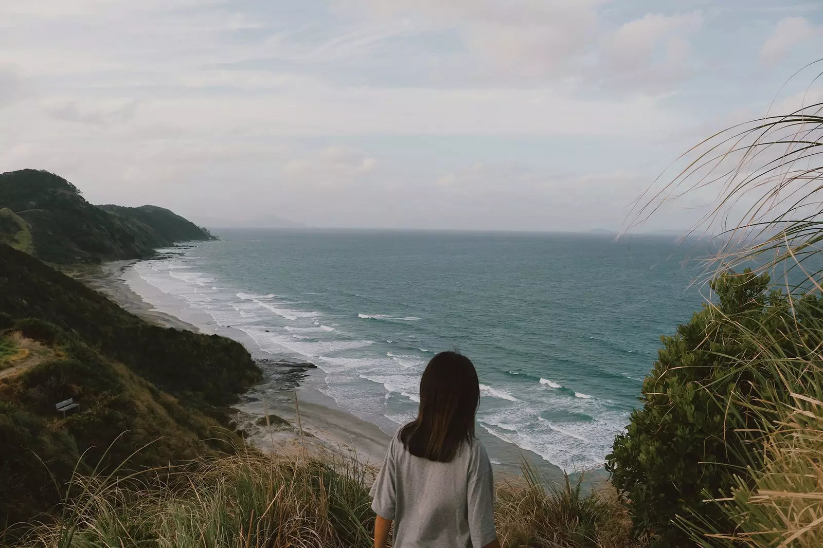 langs beach selandia baru