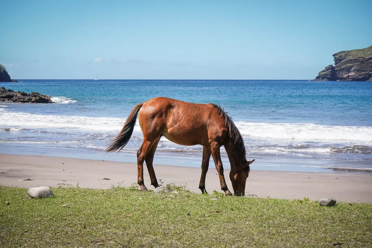 Marquesas Islands ali polinezijski raj