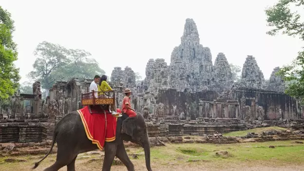 これが、旅行中の動物虐待を奨励する方法です