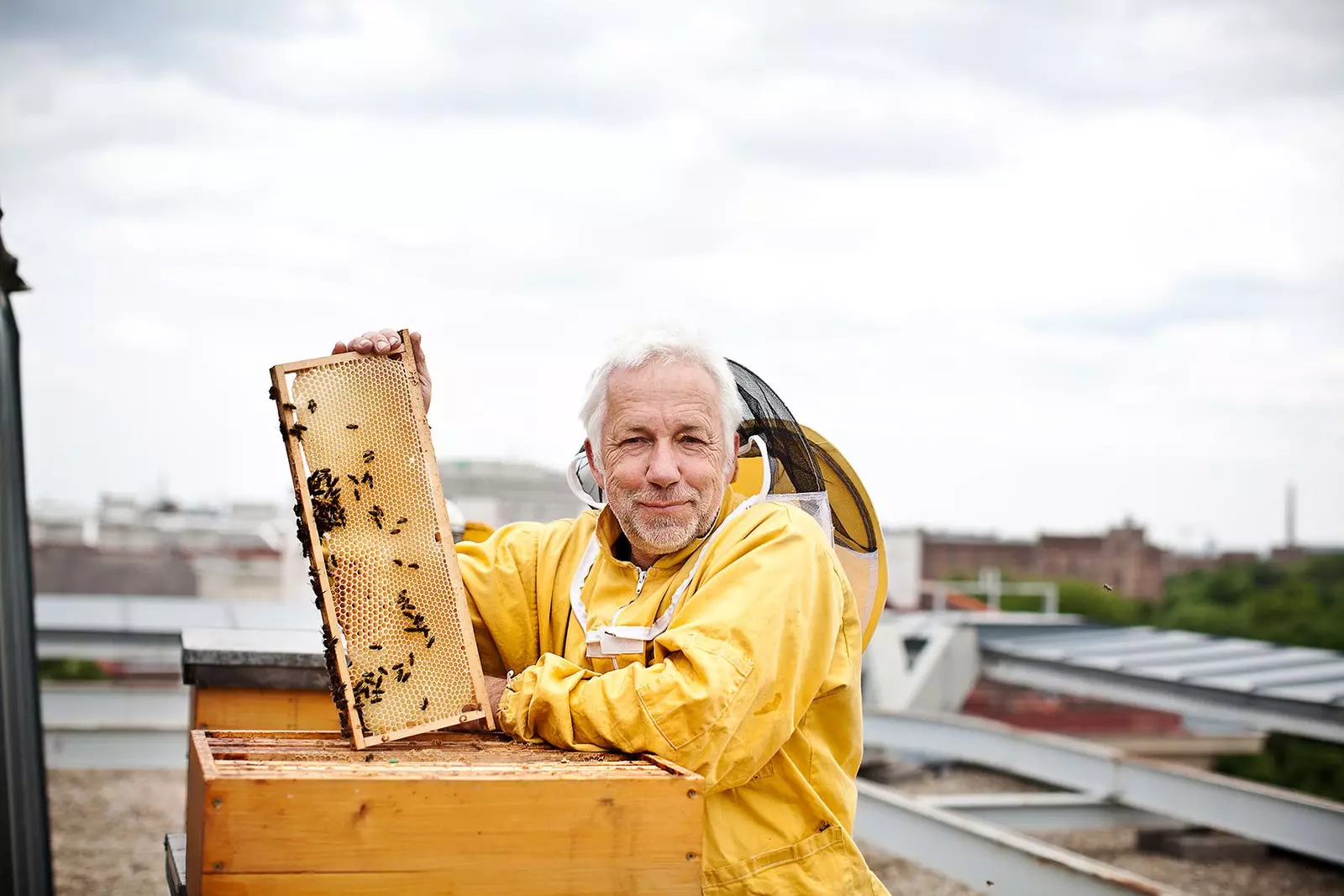 In diesen Hotels sind Bienen willkommen