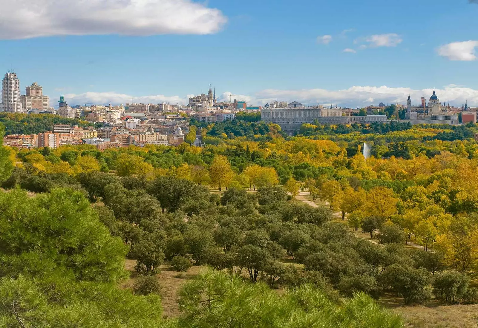 The Casa de Campo increasingly green and protected