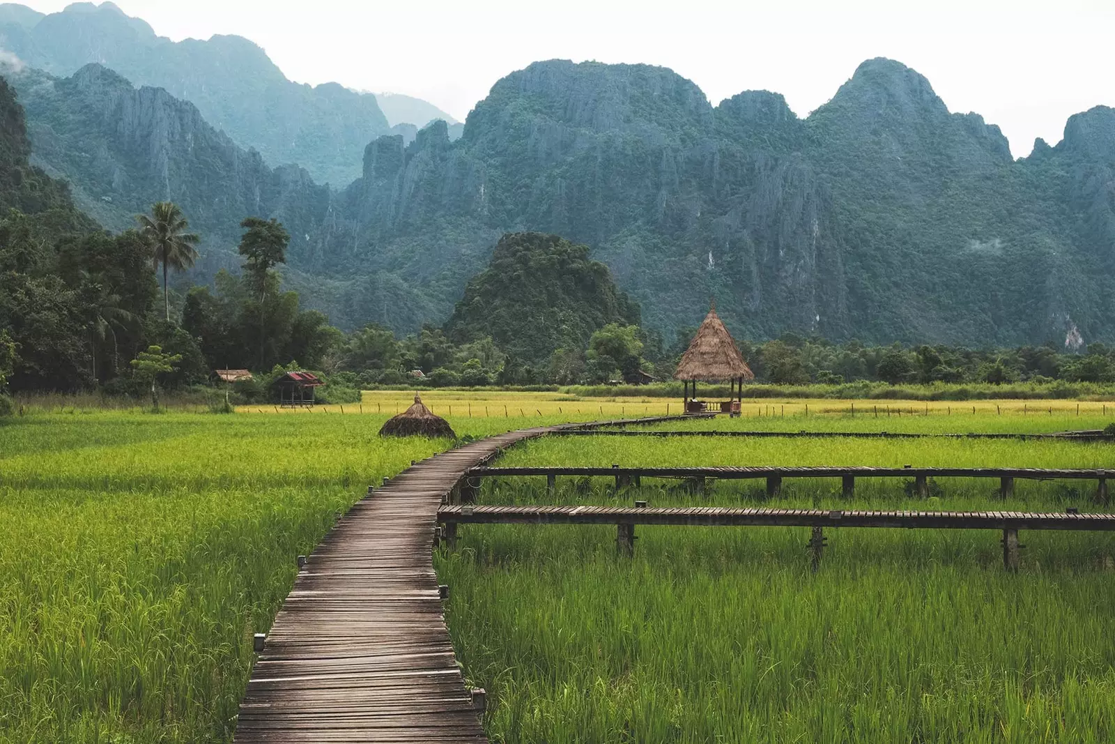 Rijstvelden in Vang Vieng in de provincie Vientiane