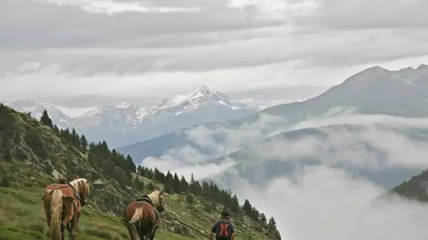 Andorra dörd ayaqda (yəni at belində)