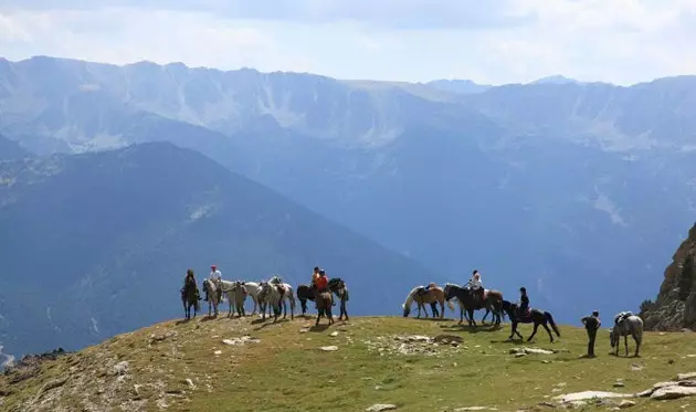 'Pyrenean cowboy' သို့