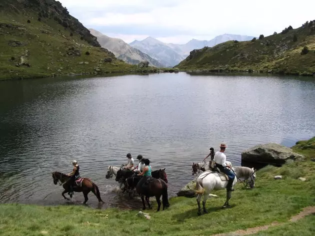 farasi wa Andorran