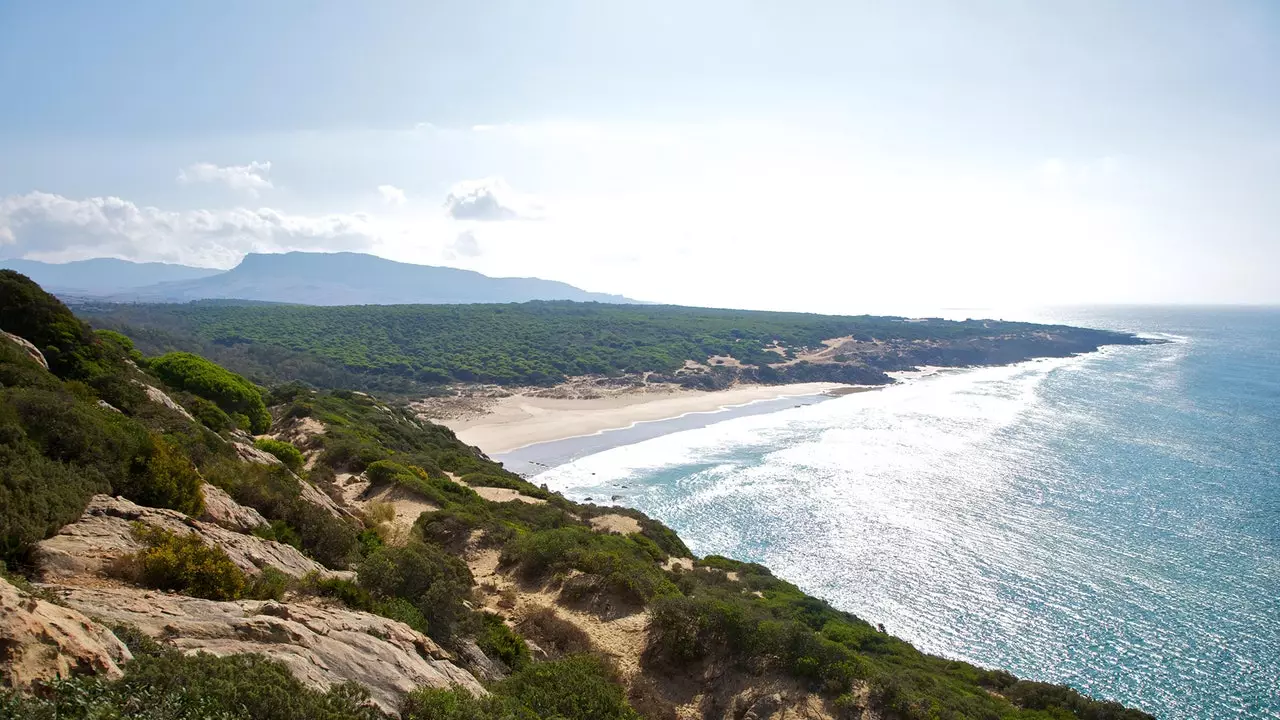 Nascosta tra i pini: la spiaggia di Tarifa che resiste al viaggiatore