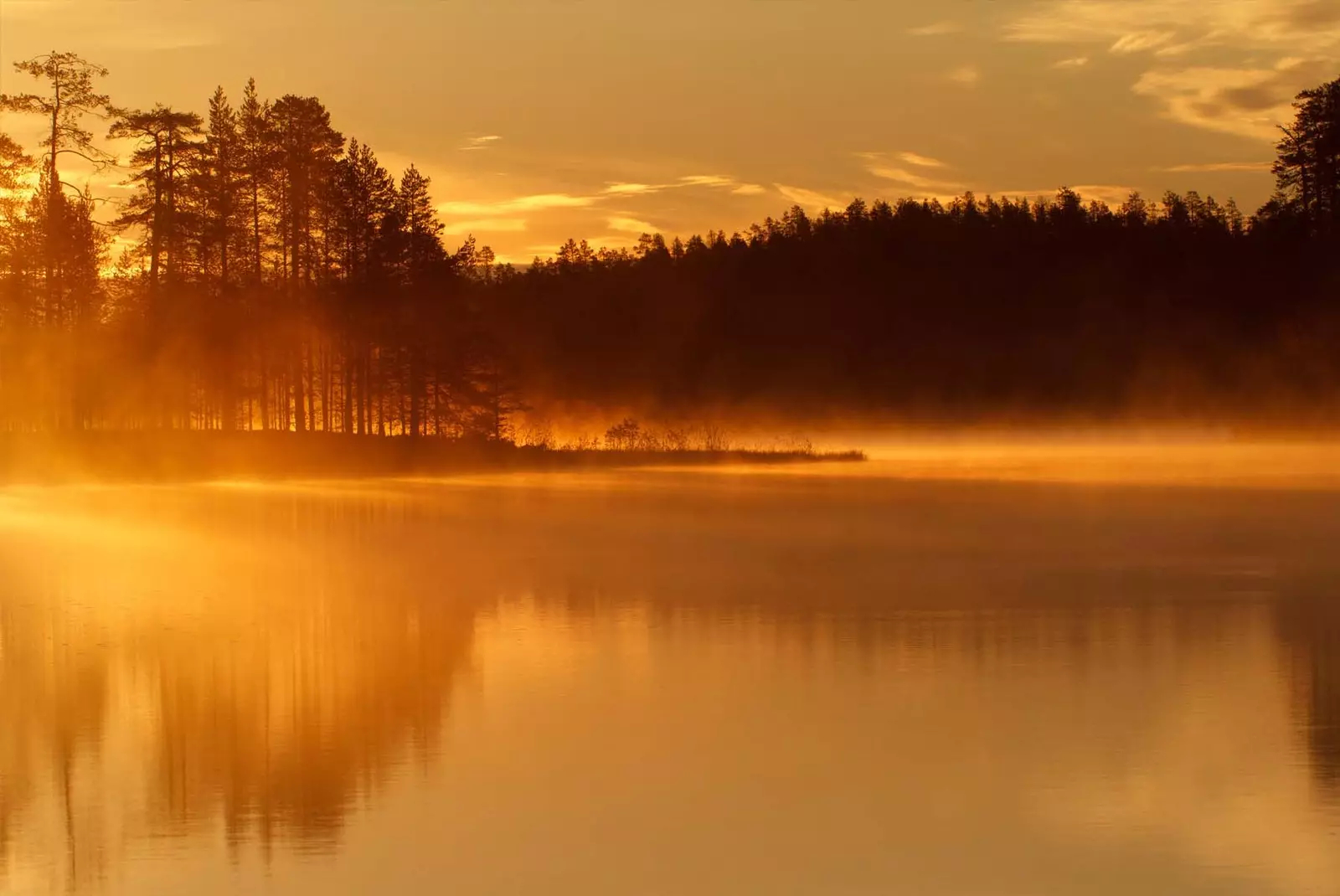 Vertaansa vailla oleva kauneus