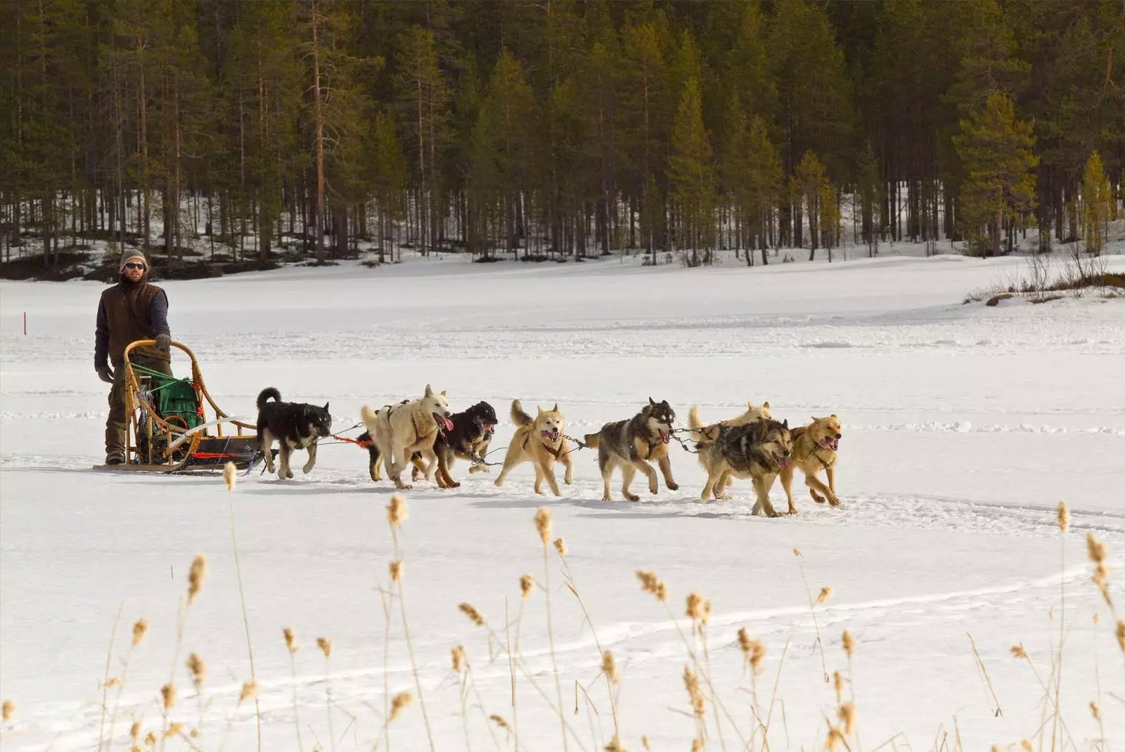 Imazhi tipik finlandez në Hoossa