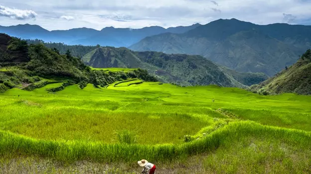 Hal-hal yang harus Anda ketahui sebelum bepergian ke Filipina